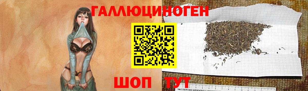 Галлюциногенные грибы ЛСД  Псилоцибиновые грибы ЛСД  Нефтекамск  Вход с VPN 